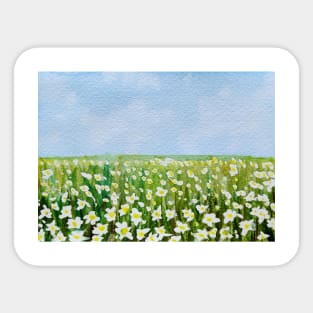 Field of daisies Sticker